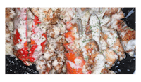a plate with crab meat and sauce on it